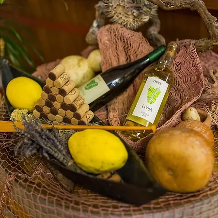 Ξενοδοχείο Merlot Opuzen (Dubrovnik-Neretva)