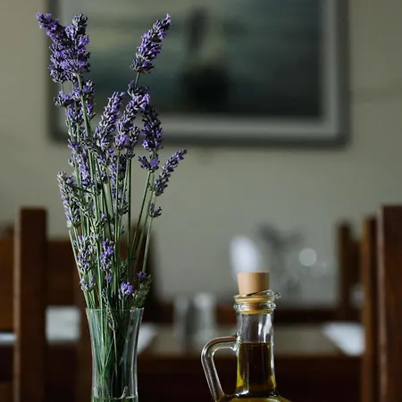 Ξενοδοχείο Merlot Opuzen (Dubrovnik-Neretva)