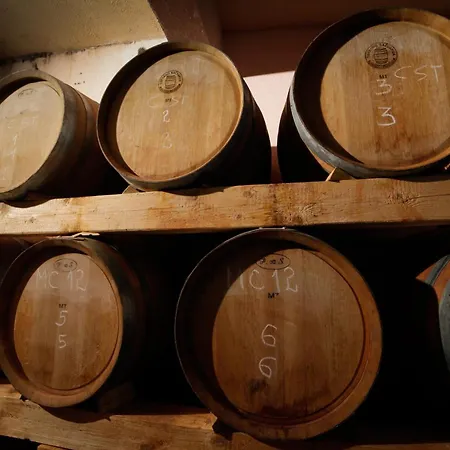 Ξενοδοχείο Merlot